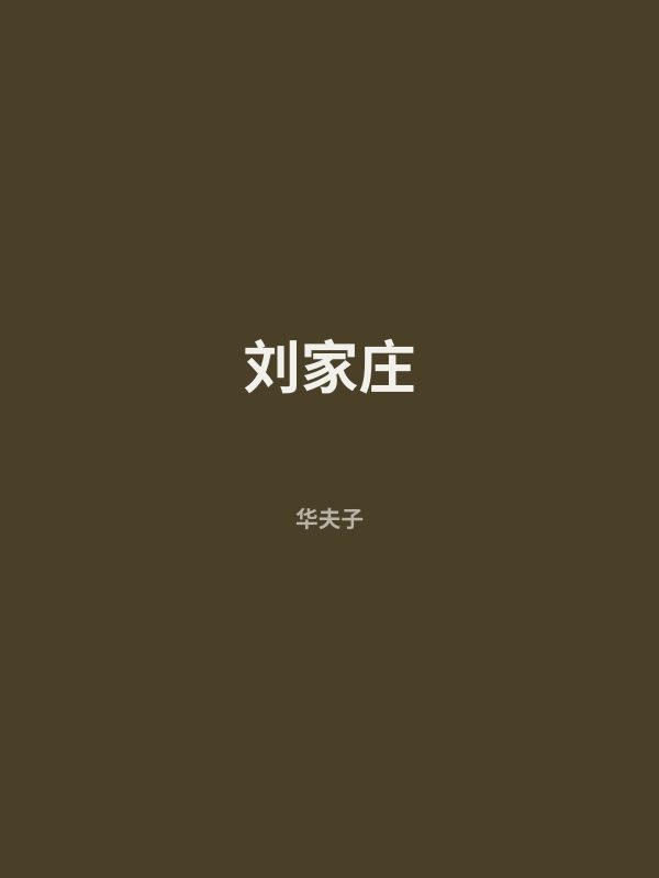 刘家庄 封面