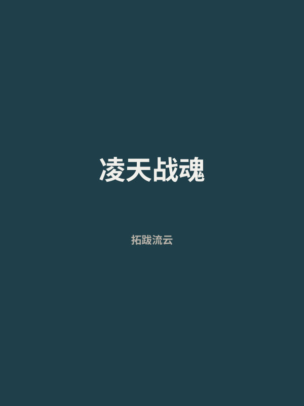 凌天战魂 封面