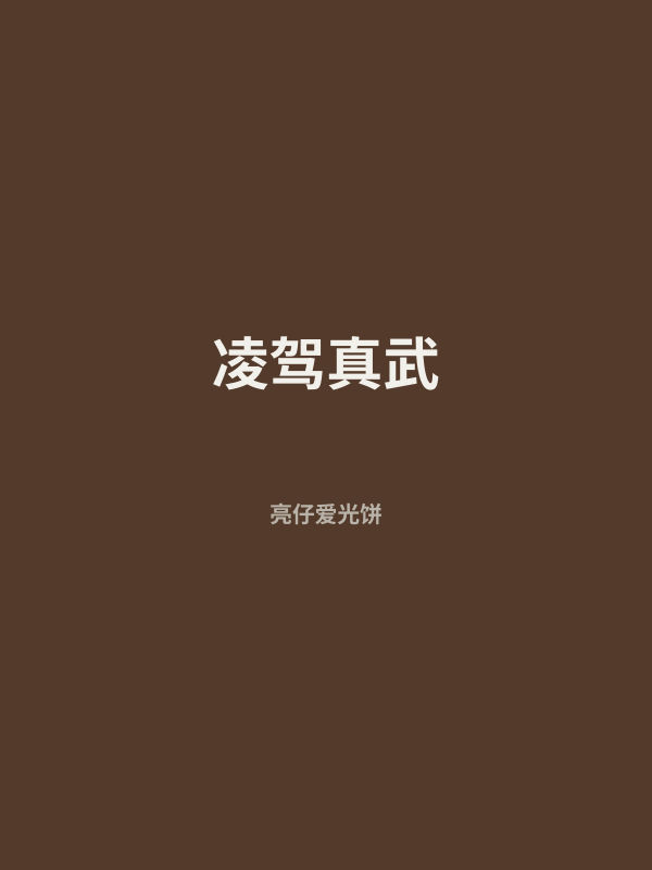 凌驾真武 封面