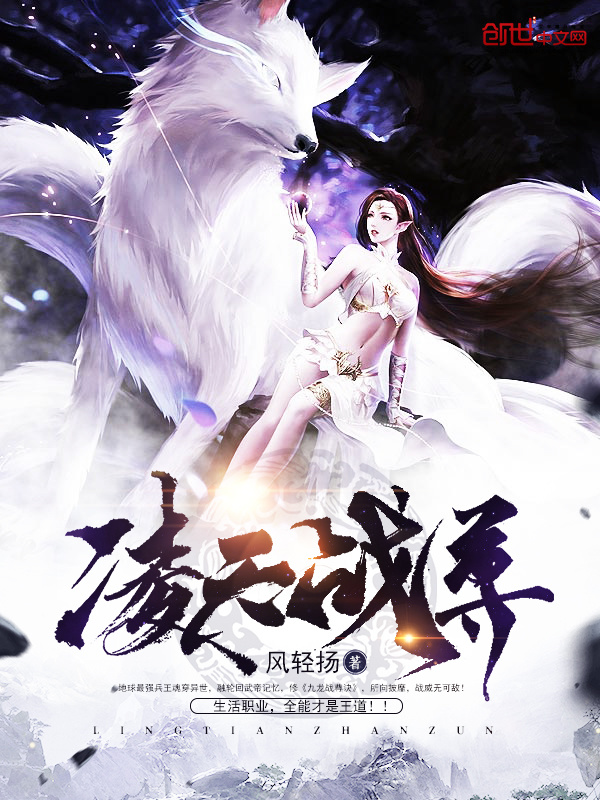 凌天战尊 封面