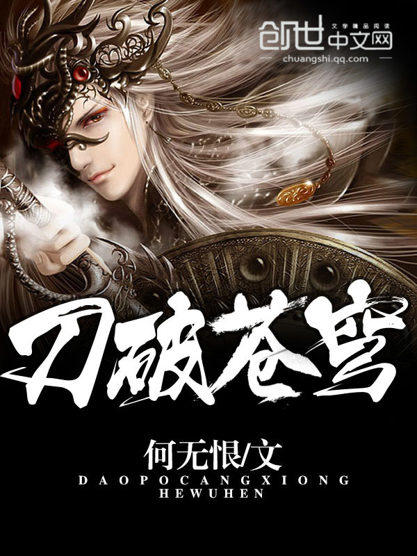 刀破苍穹 封面