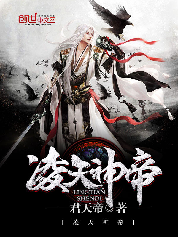 凌天神帝 封面
